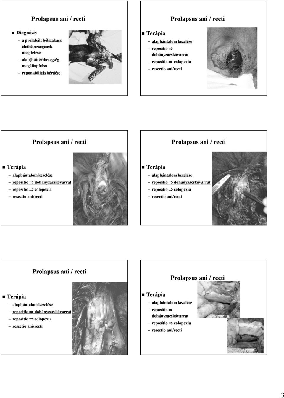 repositio dohányzacskóvarrat repositio colopexia repositio colopexia resectio ani/recti resectio ani/recti alapbántalom kezelése repositio