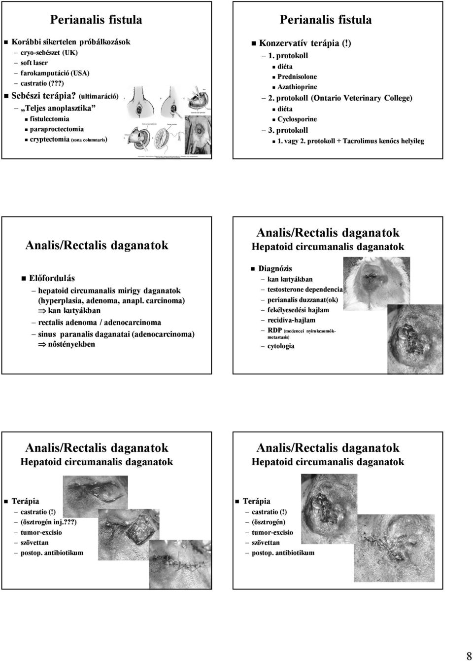 protokoll (Ontario Veterinary College) diéta Cyclosporine 3. protokoll 1. vagy 2.