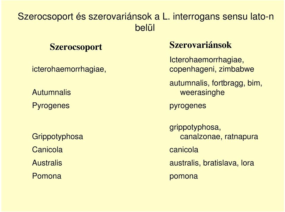 Grippotyphosa Canicola Australis Pomona Szerovariánsok Icterohaemorrhagiae,