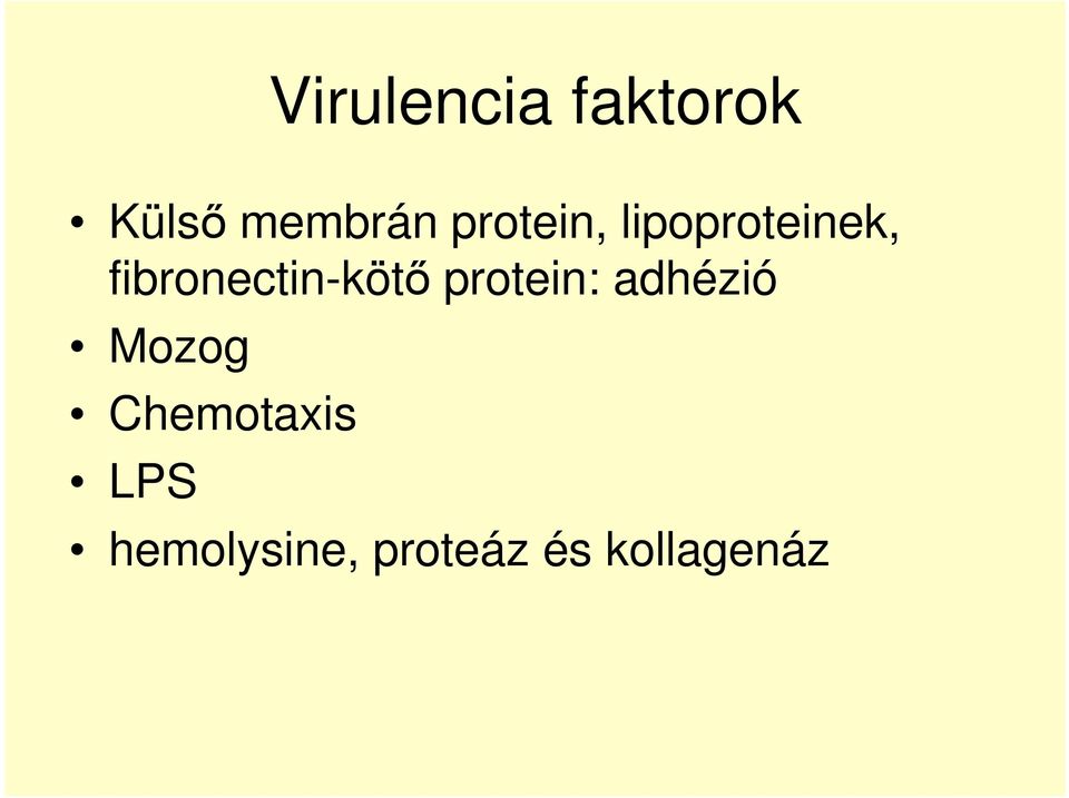 fibronectin-kötı protein: adhézió