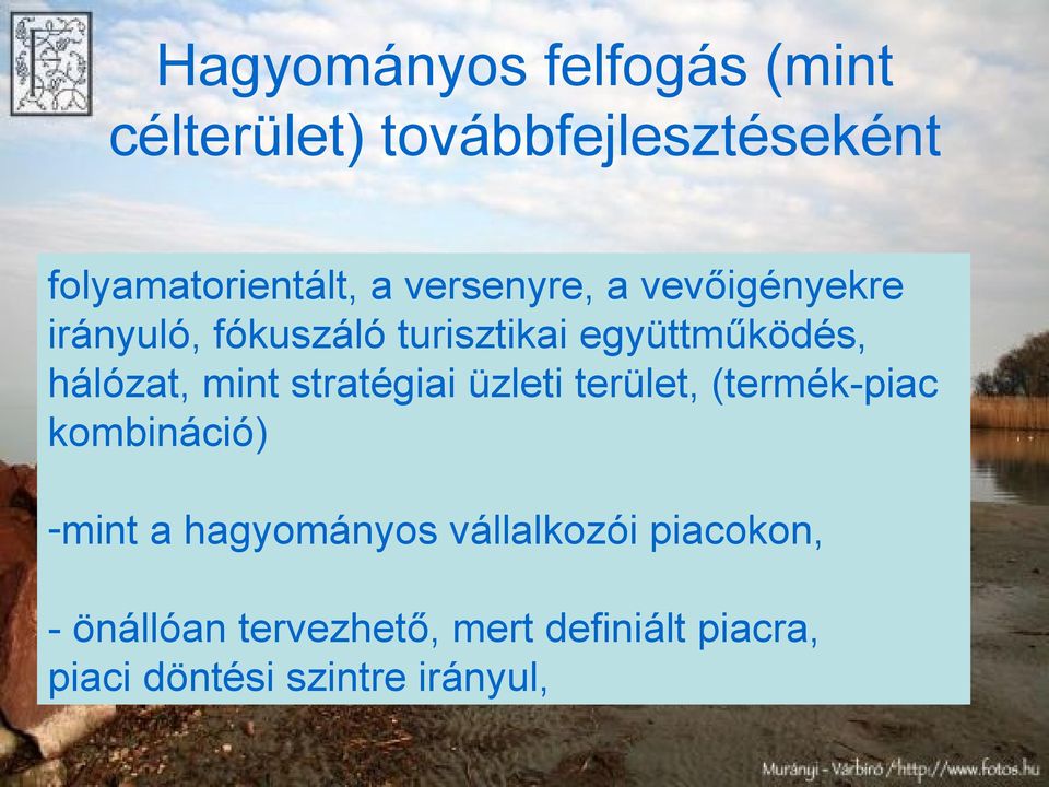 mint stratégiai üzleti terület, (termék-piac kombináció) -mint a hagyományos