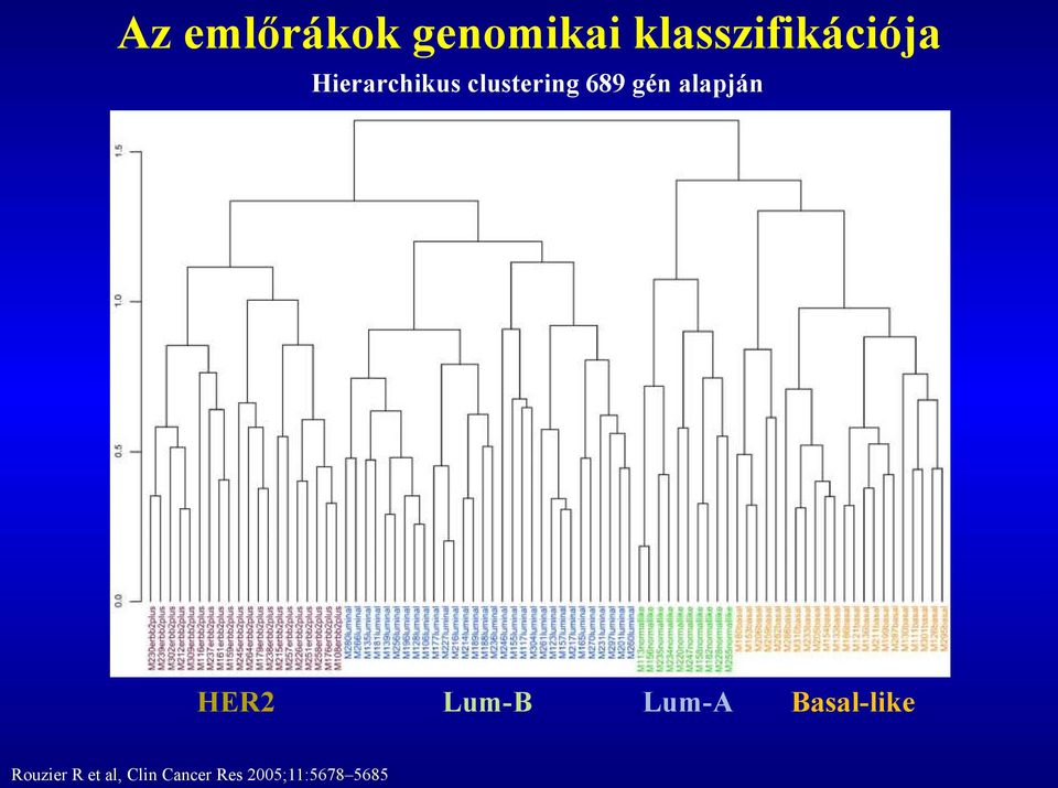 HER2 Lum-B Lum-A Basal-like Rouzier R