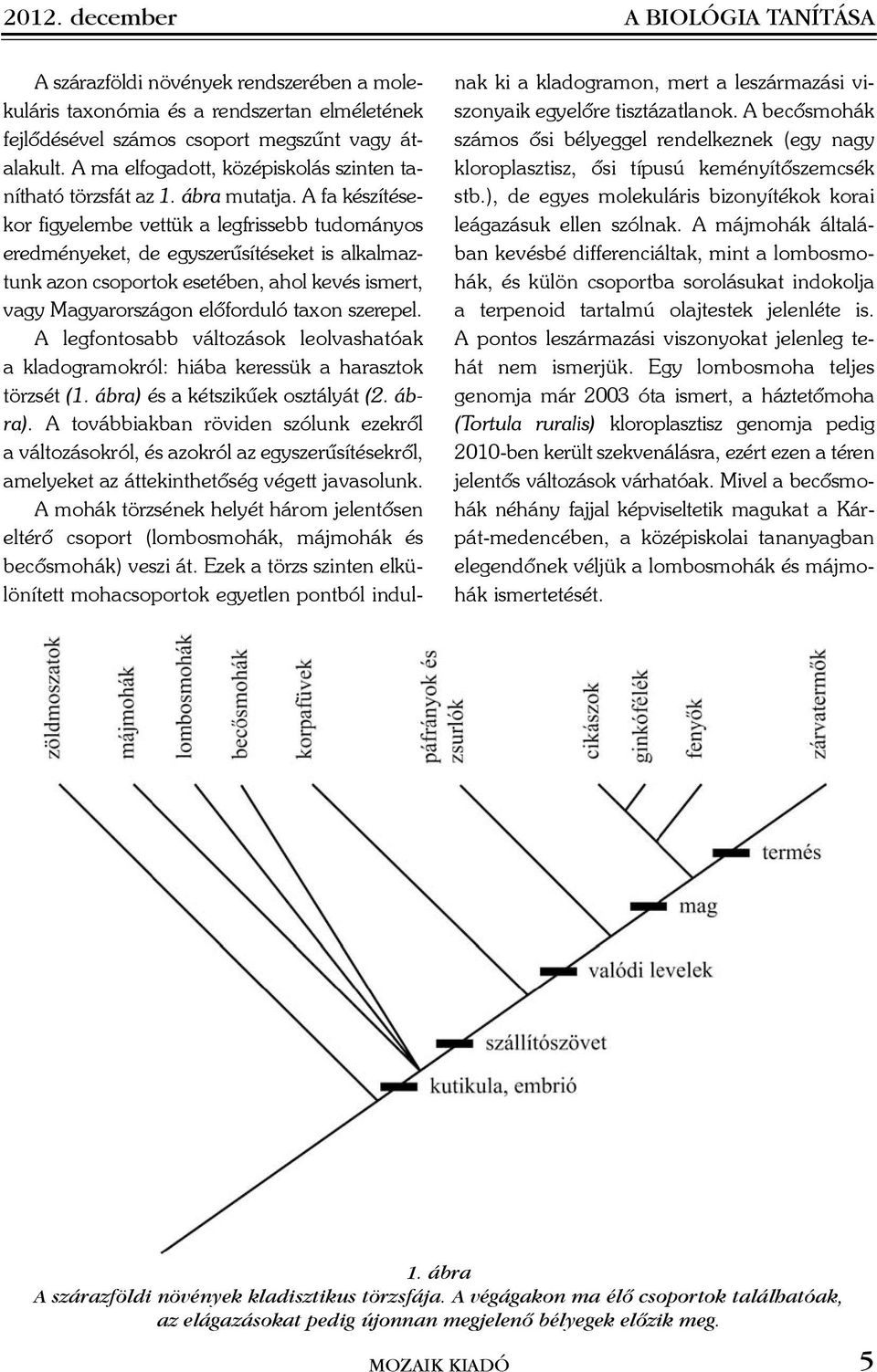 A fa készítésekor figyelembe vettük a legfrissebb tudományos eredményeket, de egyszerûsítéseket is alkalmaztunk azon csoportok esetében, ahol kevés ismert, vagy Magyarországon elõforduló taxon