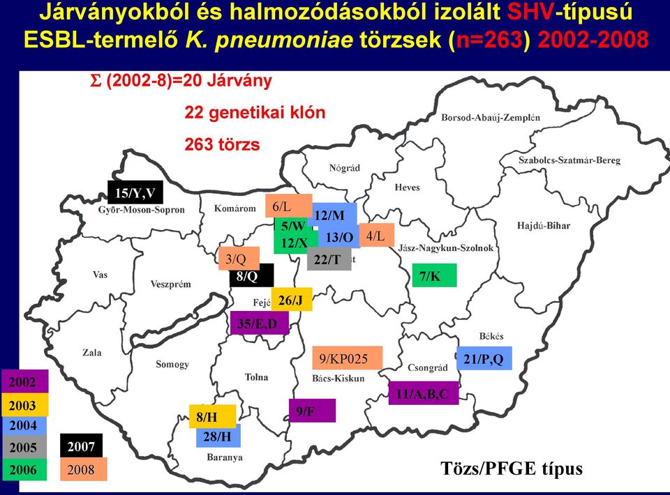 klón 263 törzs 15/Y,V 3/Q 8/Q 6/L 12/M 5/W 4/L 12/X 13/O 22/T 7/K 26/J