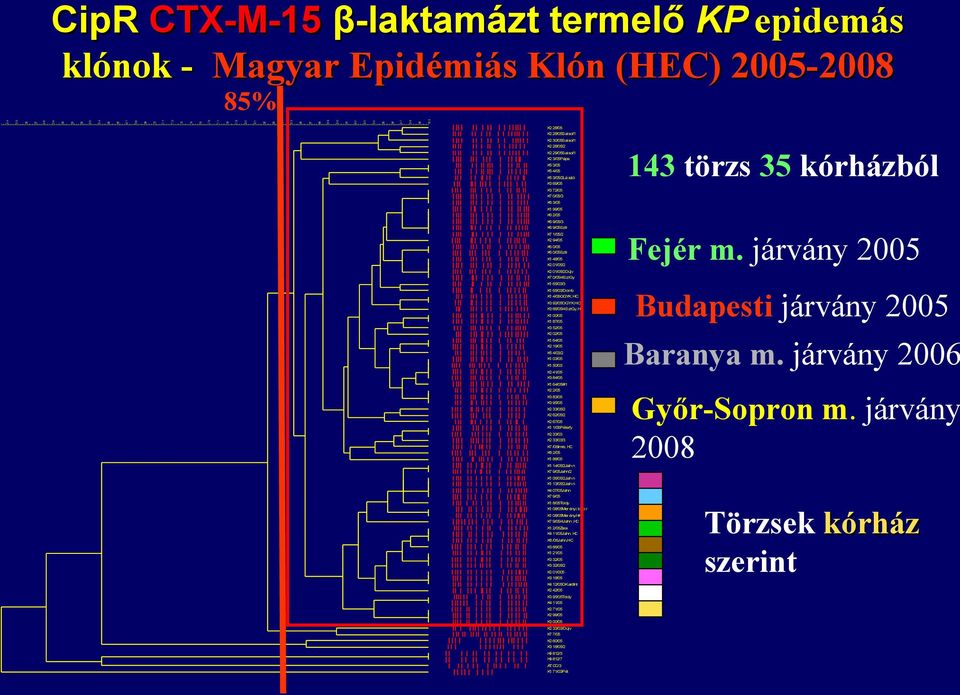 28/05Salsol/1 K2 30/05Salsol/1 K2 28/05/2 K2 29/05Salsol/1 K2 3/05Pápa K5 3/05 K5 4/05 K5 3/05/2Lá szló K3 69/05 143 törzs 35 kórházból K3 72/05 K7 0/05/3 K6 3/05 K1 99/05 K6 2/05 K6 9/05/3 K6