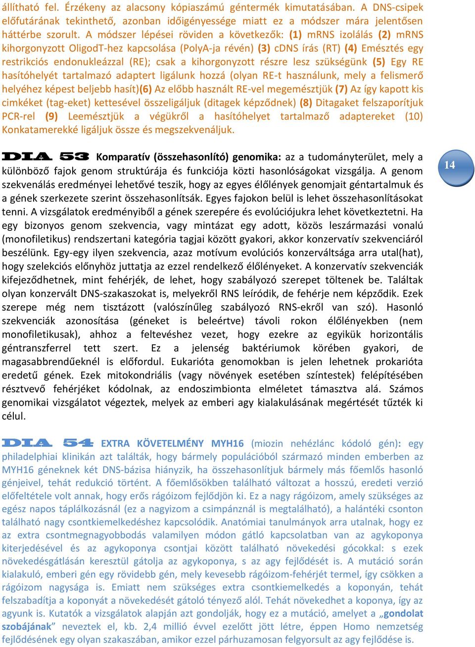 kihorgonyzott részre lesz szükségünk (5) Egy RE hasítóhelyét tartalmazó adaptert ligálunk hozzá (olyan RE-t használunk, mely a felismerő helyéhez képest beljebb hasít)(6) Az előbb használt RE-vel