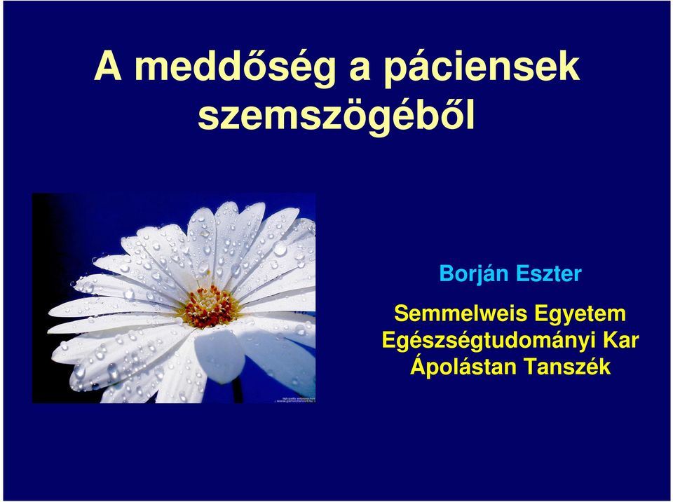 Semmelweis Egyetem