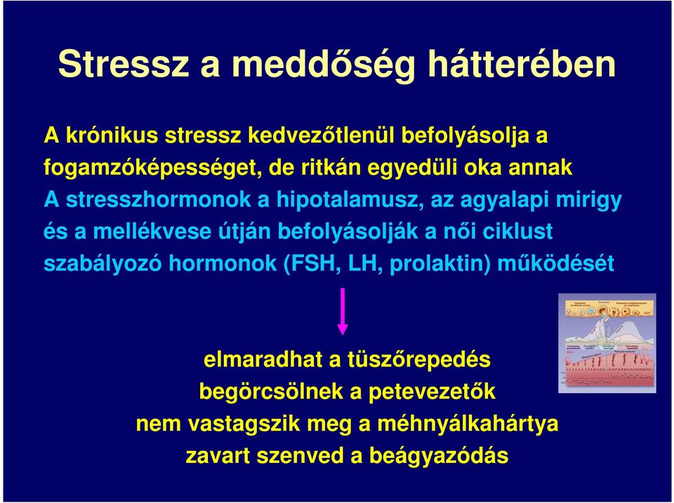 útján befolyásolják a női ciklust szabályozó hormonok (FSH, LH, prolaktin) működését elmaradhat a