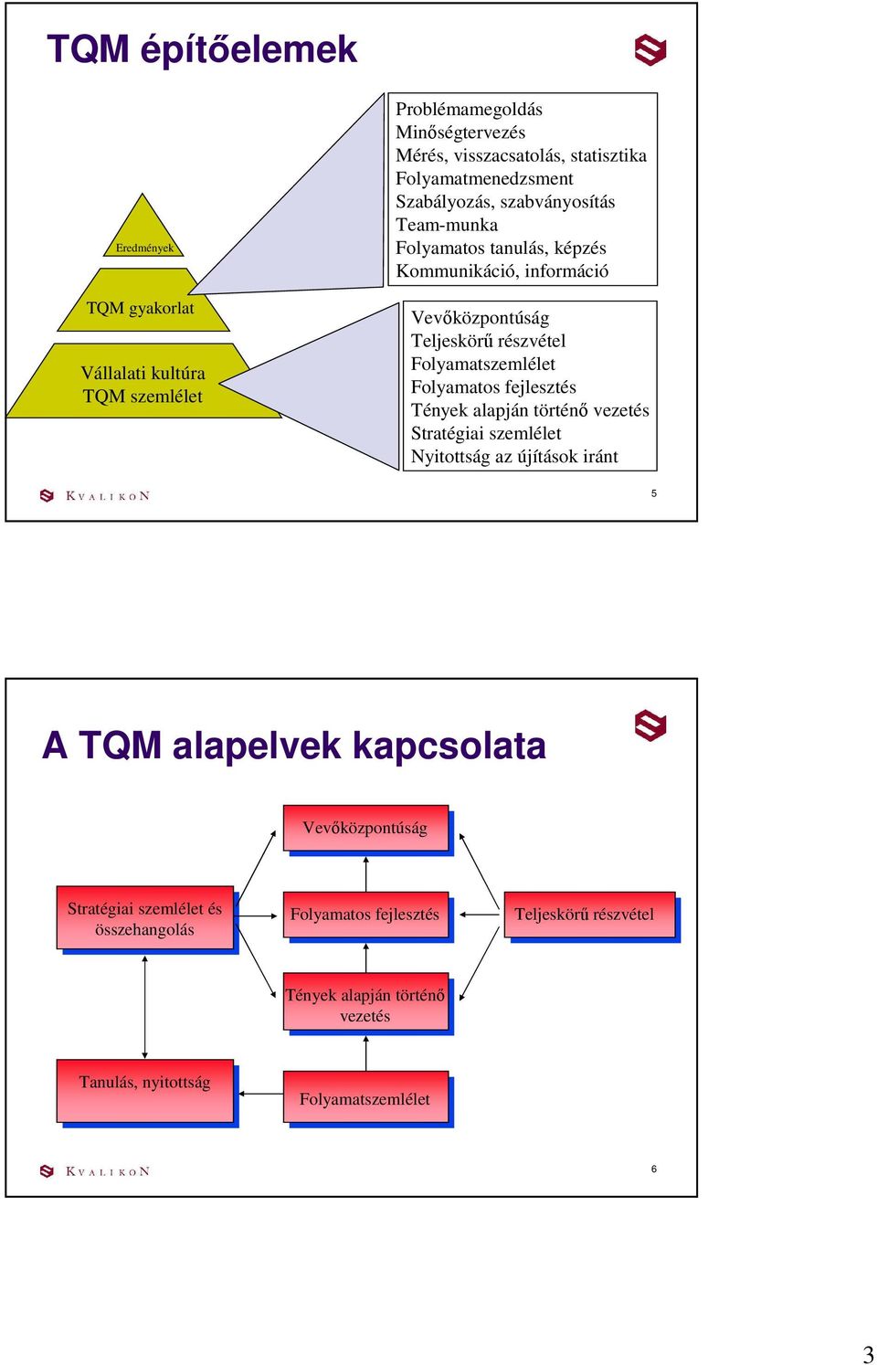 Folyamatszemlélet Folyamatos fejlesztés Tények alapján történı vezetés Stratégiai szemlélet Nyitottság az újítások iránt 5 A TQM alapelvek kapcsolata