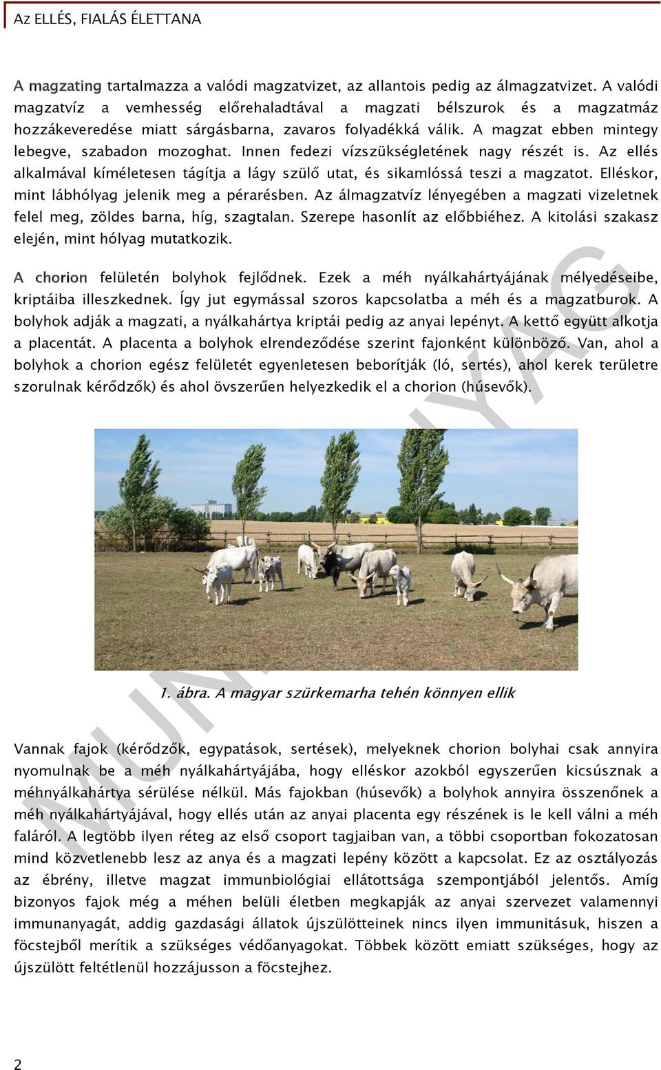 Innen fedezi vízszükségletének nagy részét is. Az ellés alkalmával kíméletesen tágítja a lágy szülő utat, és sikamlóssá teszi a magzatot. Elléskor, mint lábhólyag jelenik meg a pérarésben.