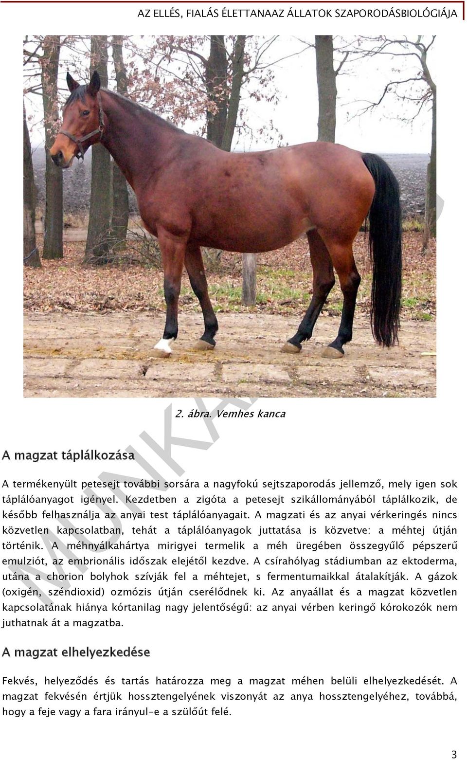 Kezdetben a zigóta a petesejt szikállományából táplálkozik, de később felhasználja az anyai test táplálóanyagait.