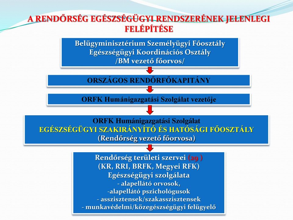 SZAKIRÁNYÍTÓ ÉS HATÓSÁGI FŐOSZTÁLY (Rendőrség vezető főorvosa) Rendőrség területi szervei (29 ) (KR, RRI, BRFK, Megyei RFK)