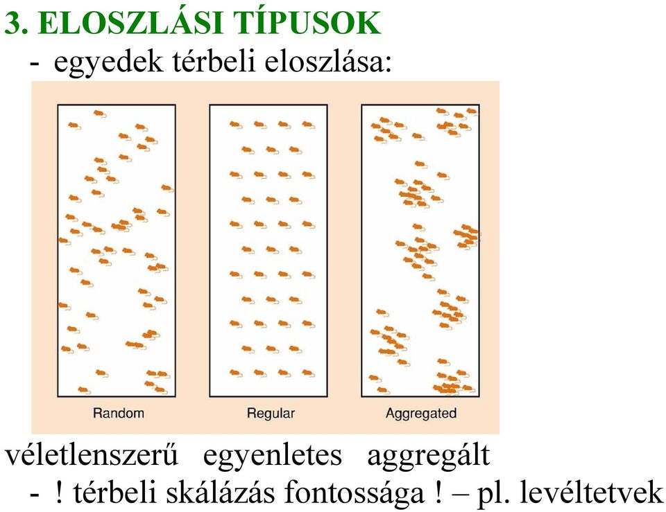 egyenletes aggregált -!