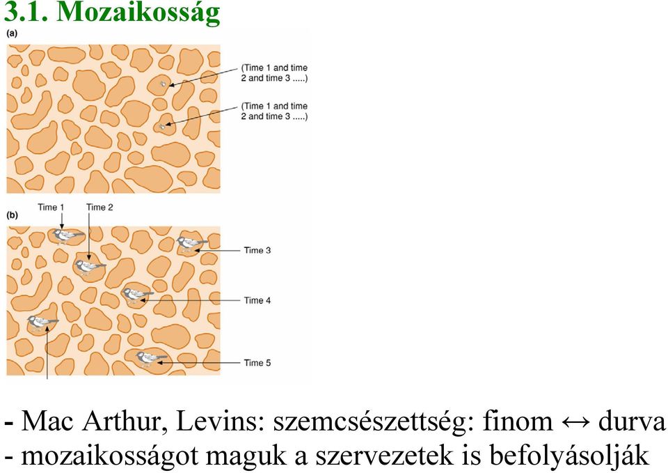 szemcsészettség: finom durva