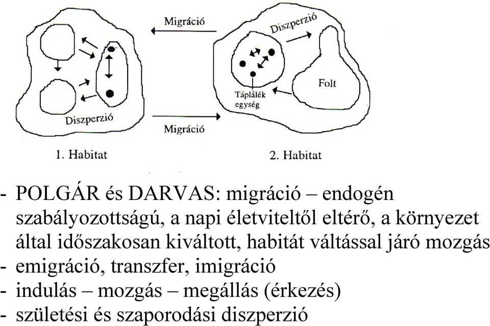 habitát váltással járó mozgás - emigráció, transzfer, imigráció -