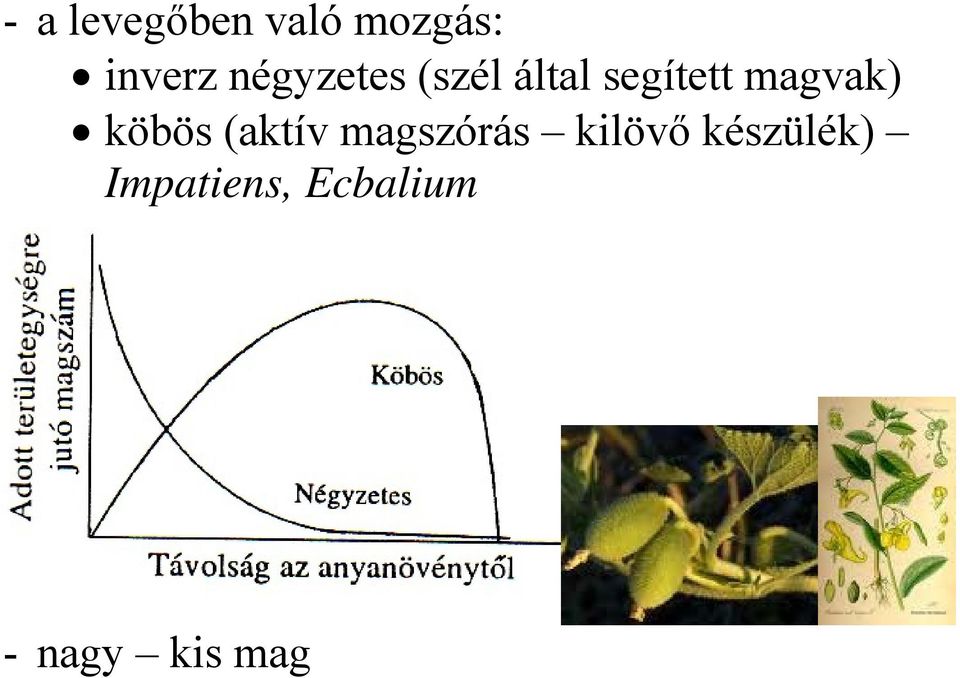 magvak) köbös (aktív magszórás