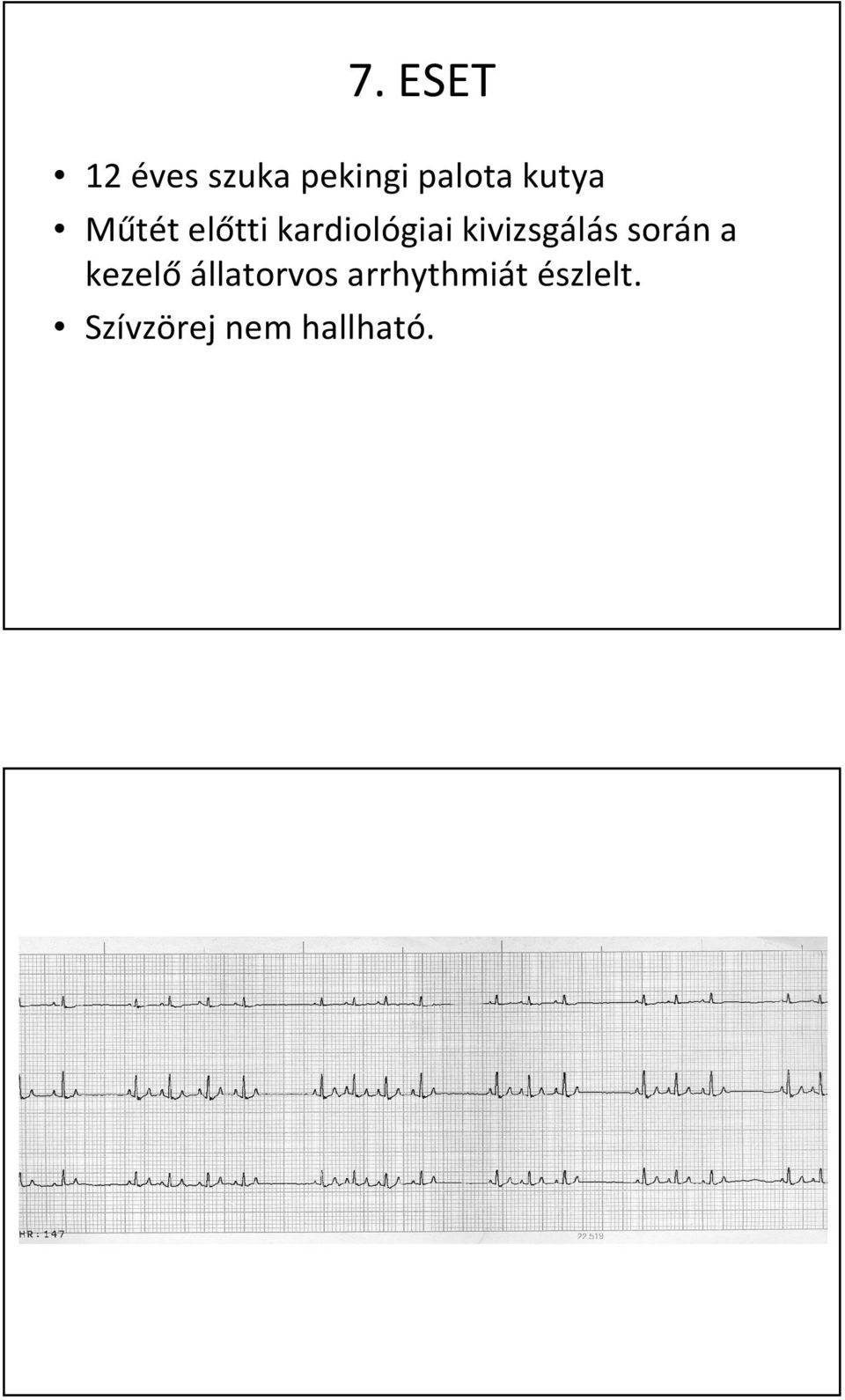 kivizsgálás során a kezelő állatorvos