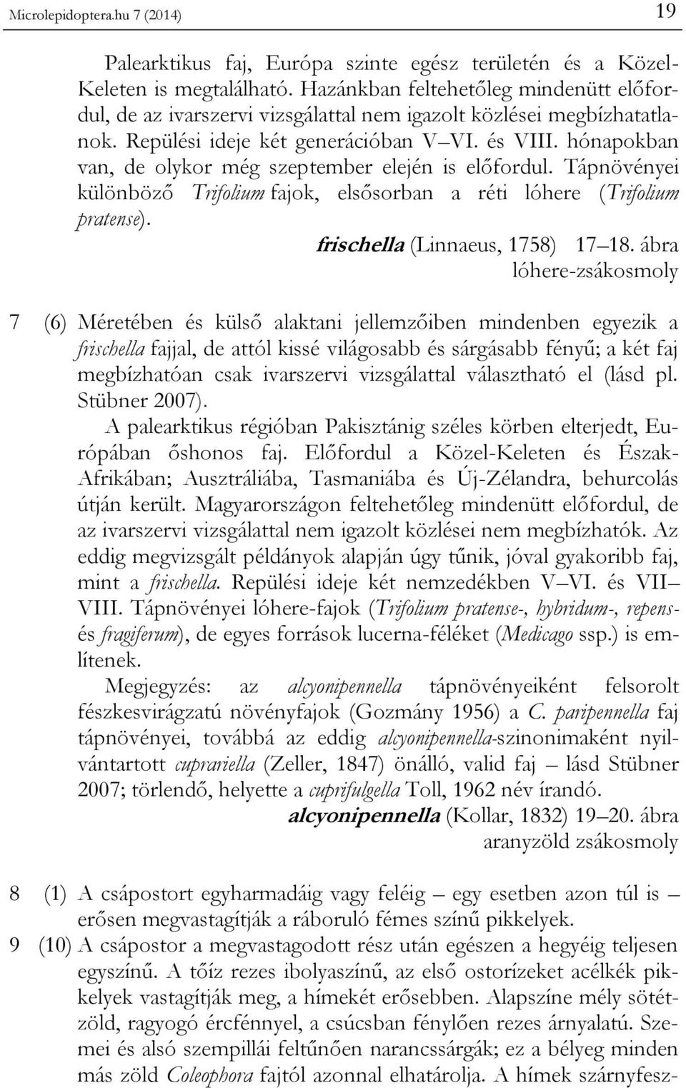 hónapokban van, de olykor még szeptember elején is előfordul. Tápnövényei különböző Trifolium fajok, elsősorban a réti lóhere (Trifolium pratense). frischella (Linnaeus, 1758) 17 18.