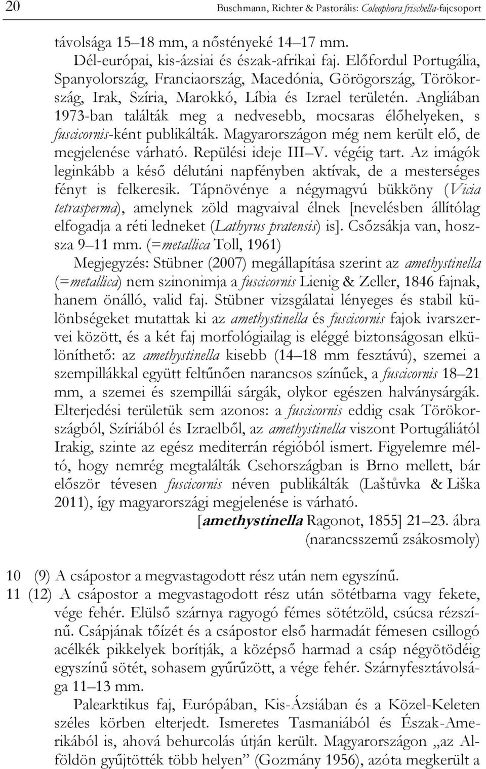 Angliában 1973-ban találták meg a nedvesebb, mocsaras élőhelyeken, s fuscicornis-ként publikálták. Magyarországon még nem került elő, de megjelenése várható. Repülési ideje III V. végéig tart.