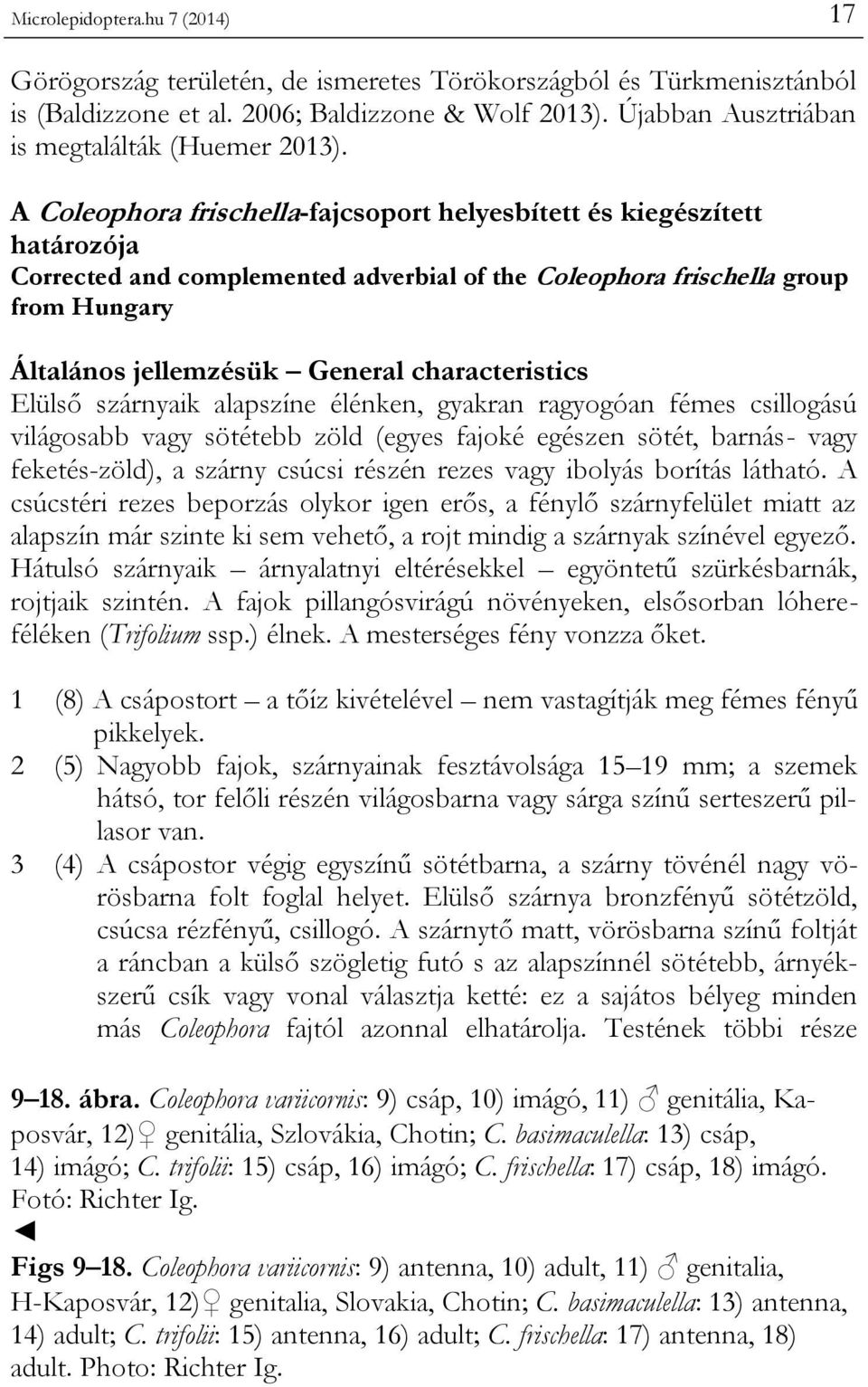 A Coleophora frischella-fajcsoport helyesbített és kiegészített határozója Corrected and complemented adverbial of the Coleophora frischella group from Hungary Általános jellemzésük General