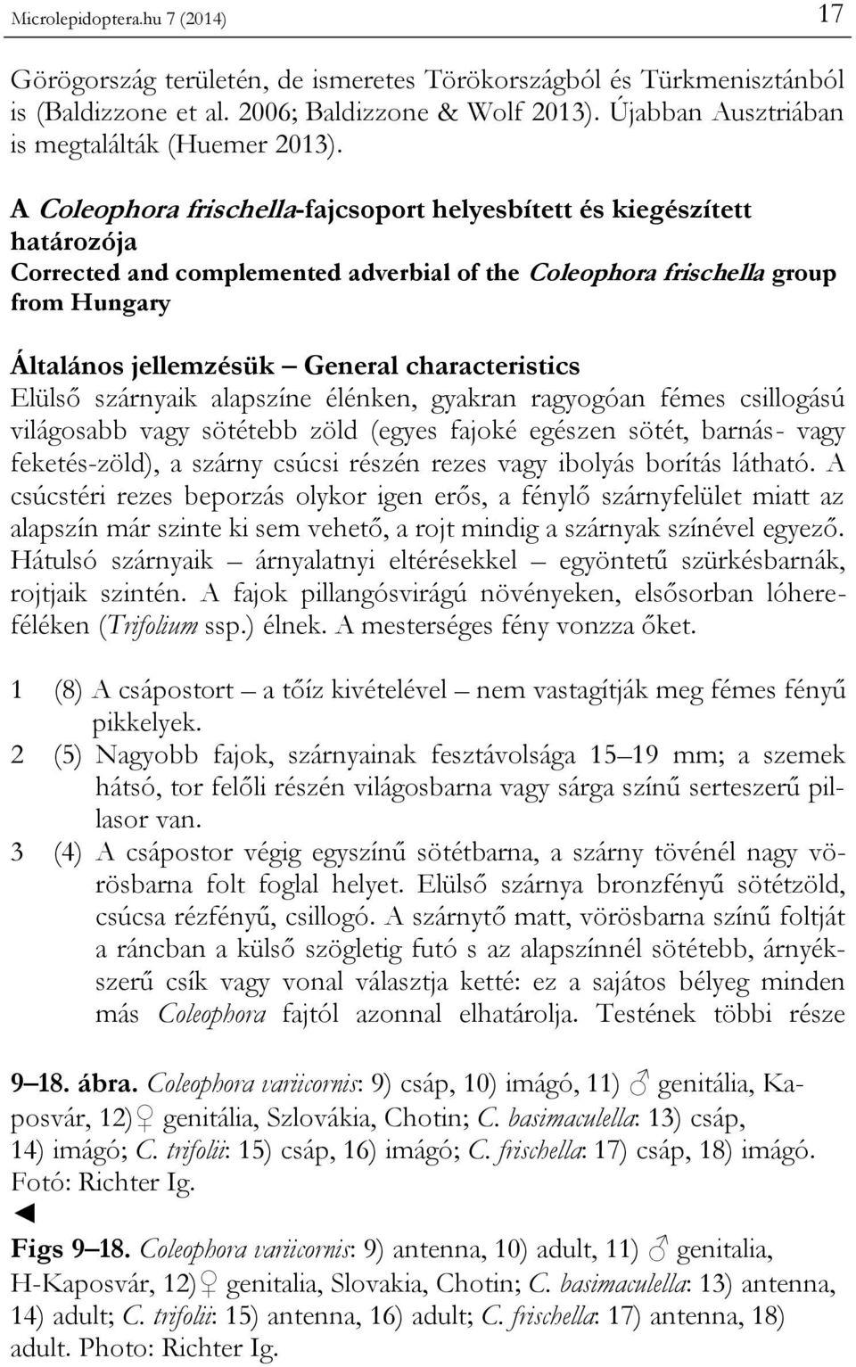 A Coleophora frischella-fajcsoport helyesbített és kiegészített határozója Corrected and complemented adverbial of the Coleophora frischella group from Hungary Általános jellemzésük General