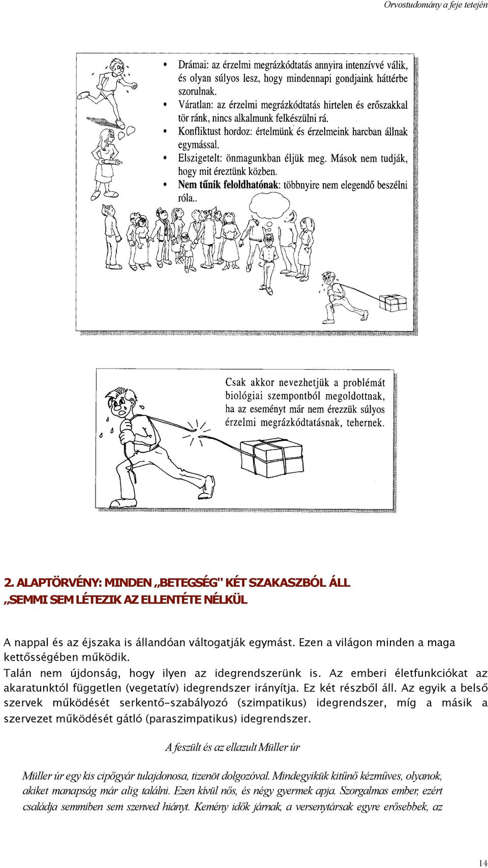 Az egyik a belső szervek működését serkentő-szabályozó (szimpatikus) idegrendszer, míg a másik a szervezet működését gátló (paraszimpatikus) idegrendszer.