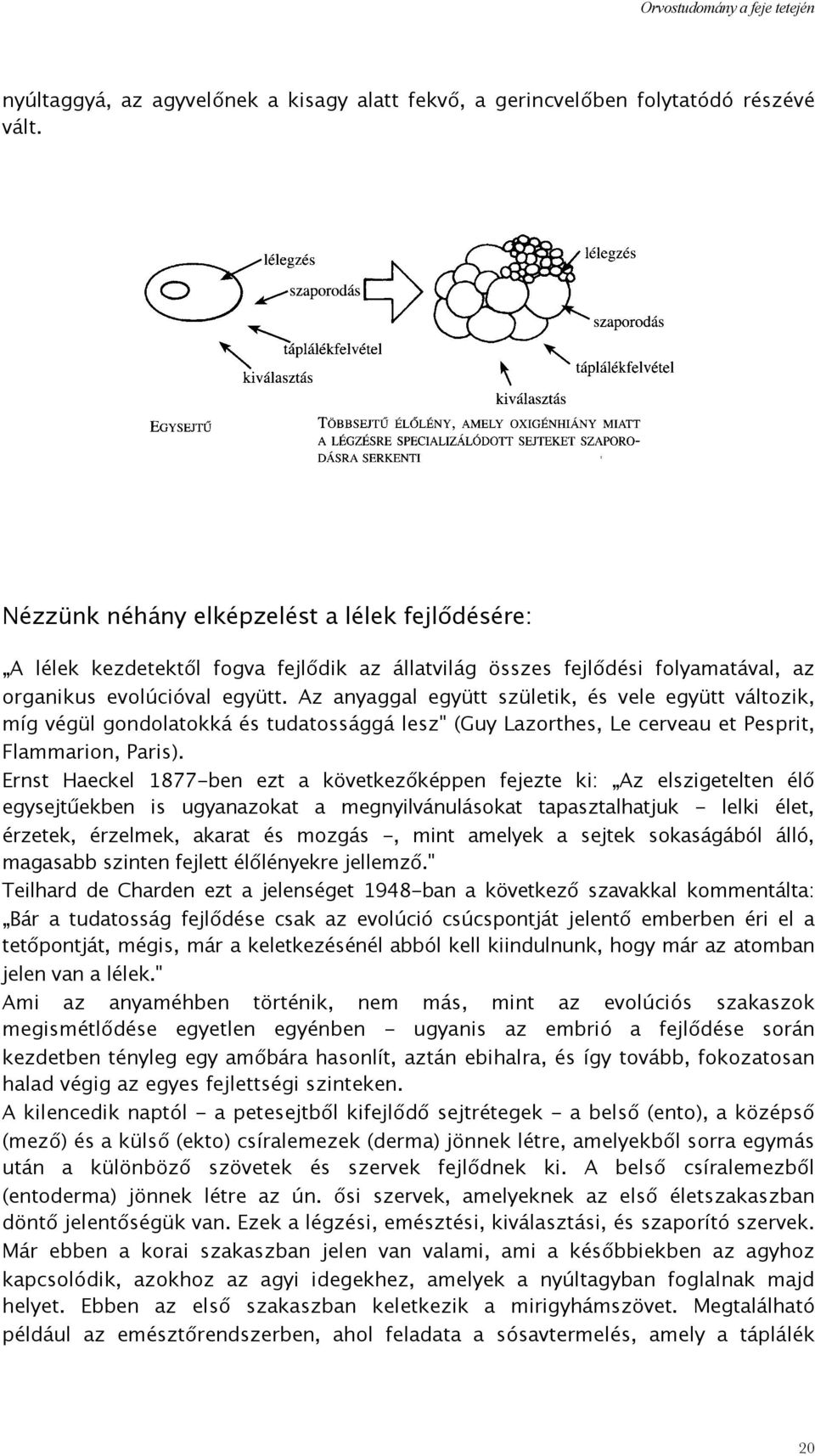 Az anyaggal együtt születik, és vele együtt változik, míg végül gondolatokká és tudatossággá lesz" (Guy Lazorthes, Le cerveau et Pesprit, Flammarion, Paris).