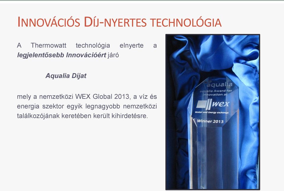 a nemzetközi WEX Global 2013, a víz és energia szektor egyik
