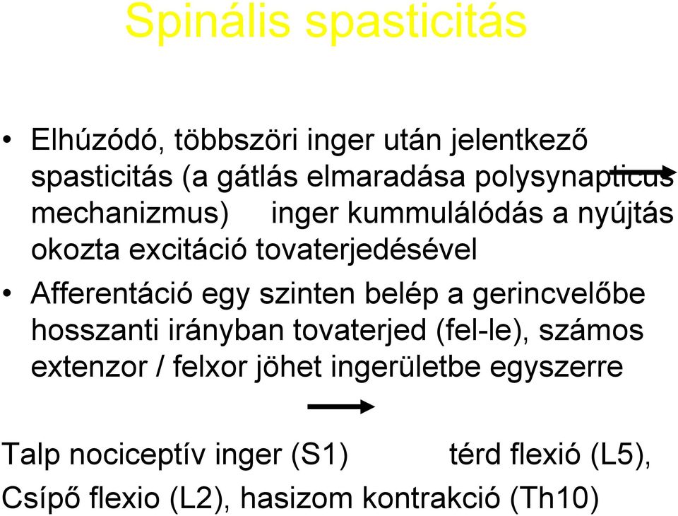 egy szinten belép a gerincvelőbe hosszanti irányban tovaterjed (fel-le), számos extenzor / felxor jöhet