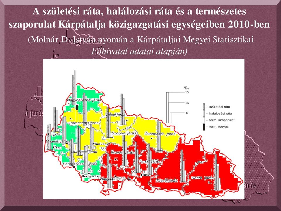 egységeiben 2010-ben (Molnár D.