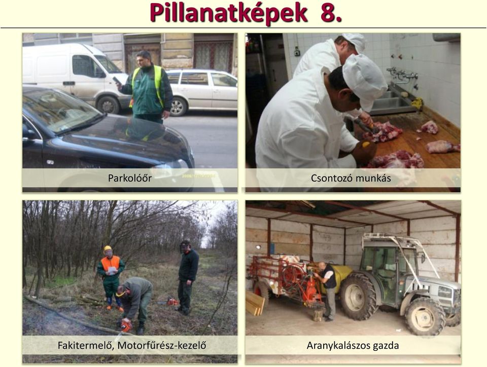 munkás Fakitermelő,