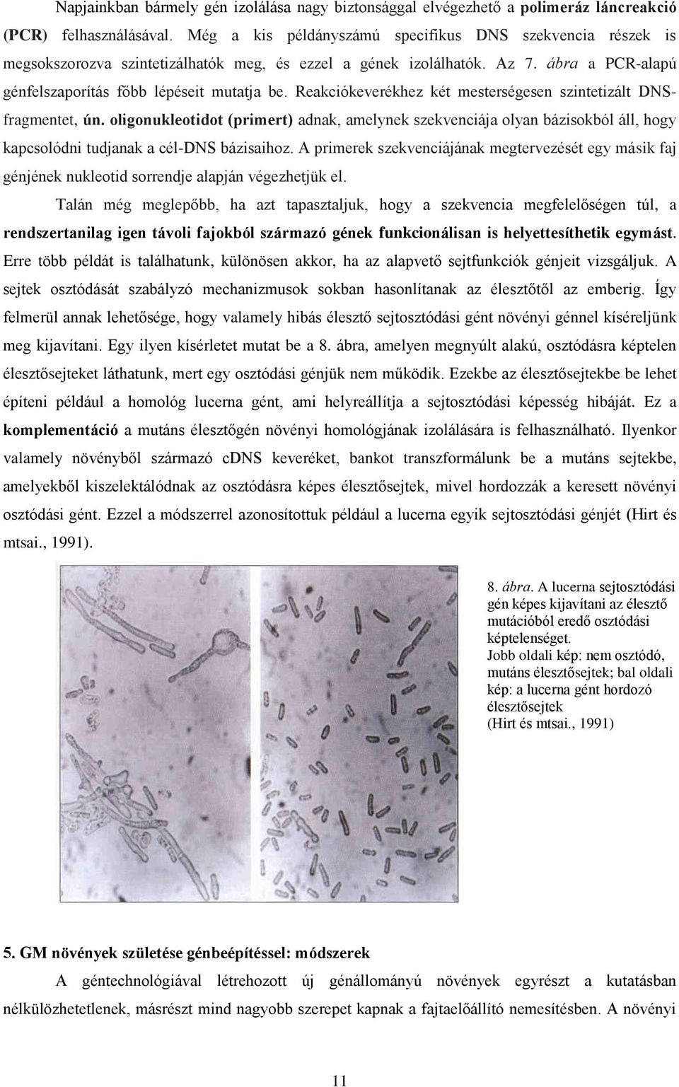 Reakciókeverékhez két mesterségesen szintetizált DNSfragmentet, ún. oligonukleotidot (primert) adnak, amelynek szekvenciája olyan bázisokból áll, hogy kapcsolódni tudjanak a cél-dns bázisaihoz.
