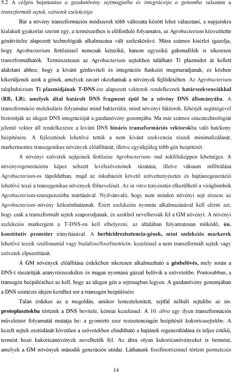 Mára számos kísérlet igazolja, hogy Agrobacterium fertőzéssel nemcsak kétszikű, hanem egyszikű gabonafélék is sikeresen transzformálhatók.