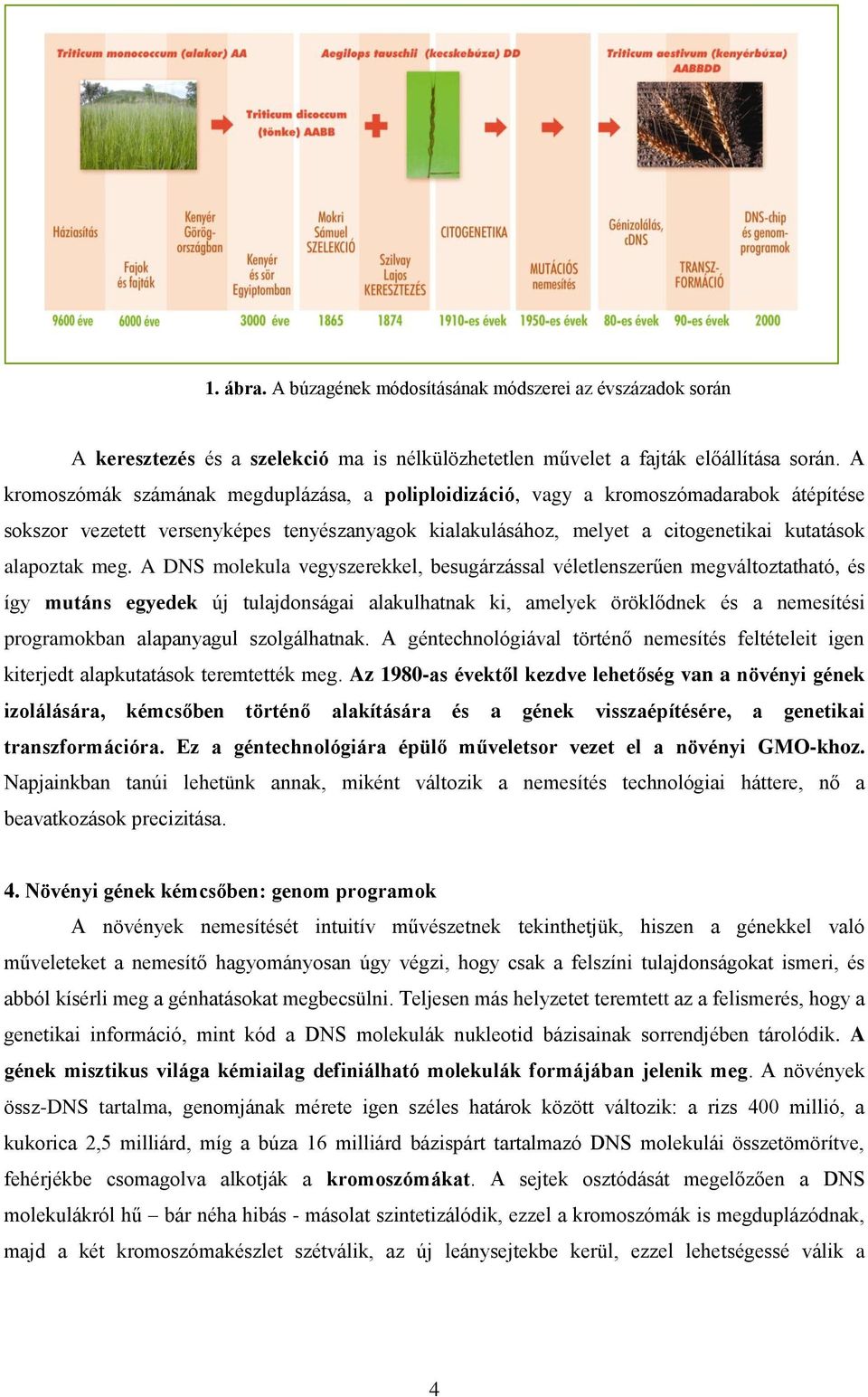 A DNS molekula vegyszerekkel, besugárzással véletlenszerűen megváltoztatható, és így mutáns egyedek új tulajdonságai alakulhatnak ki, amelyek öröklődnek és a nemesítési programokban alapanyagul