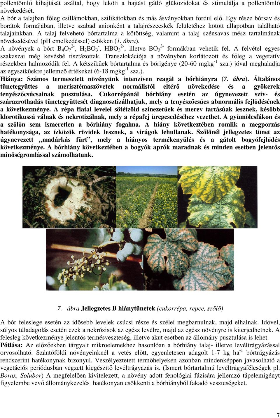 A talaj felvehetı bórtartalma a kötöttség, valamint a talaj szénsavas mész tartalmának növekedésével (ph emelkedéssel) csökken (1. ábra).