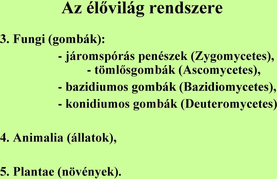 (Bazidiomycetes), - konidiumos gombák (Deuteromycetes) 4.