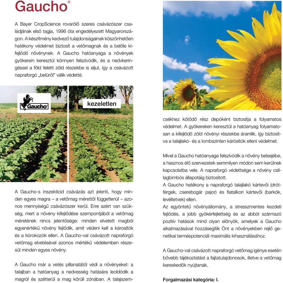 A Gaucho hatóanyaga a növények gyökerein keresztül könnyen felszívódik, és a nedvkeringéssel a föld feletti zöld részekbe is eljut, így a csávázott napraforgó belürôl válik védetté.