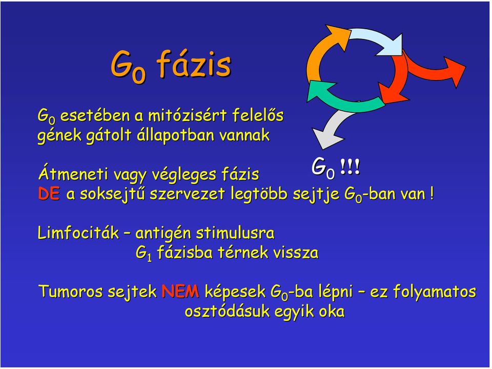!! Átmeneti vagy végleges fázis DE a soksejtű szervezet legtöbb sejtje G