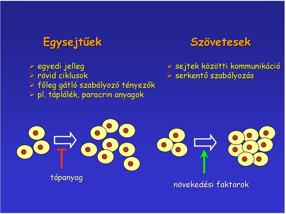 táplálék, paracrin anyagok Szövetesek sejtek