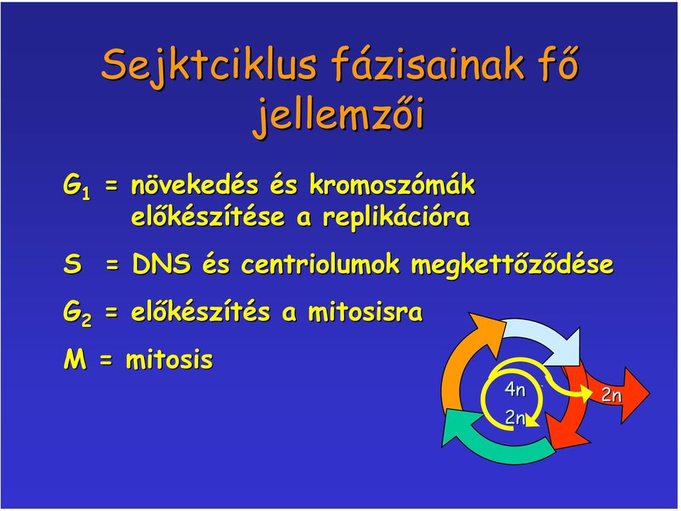 replikációra S = DNS és centriolumok