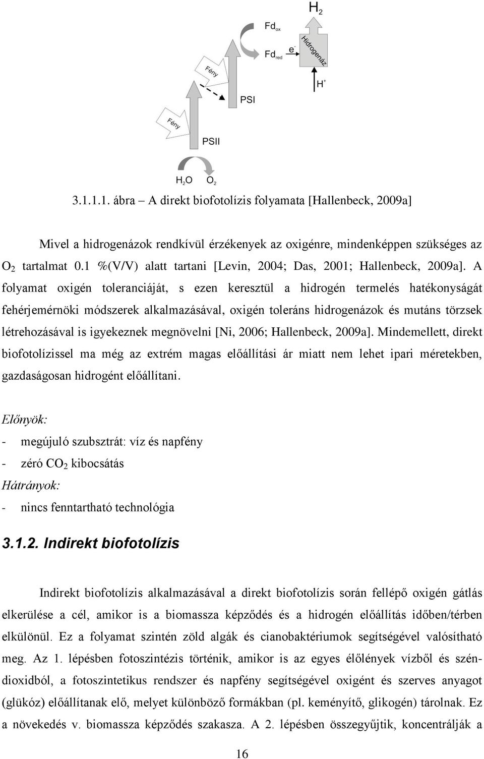 A folyamat oxigén toleranciáját, s ezen keresztül a hidrogén termelés hatékonyságát fehérjemérnöki módszerek alkalmazásával, oxigén toleráns hidrogenázok és mutáns törzsek létrehozásával is
