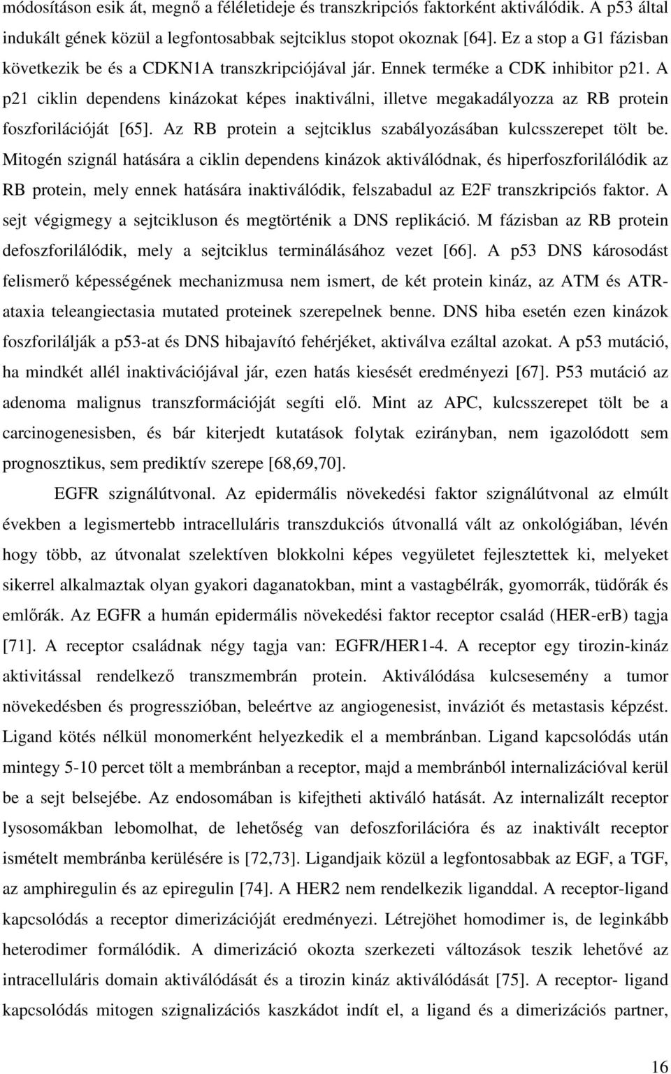 A p21 ciklin dependens kinázokat képes inaktiválni, illetve megakadályozza az RB protein foszforilációját [65]. Az RB protein a sejtciklus szabályozásában kulcsszerepet tölt be.
