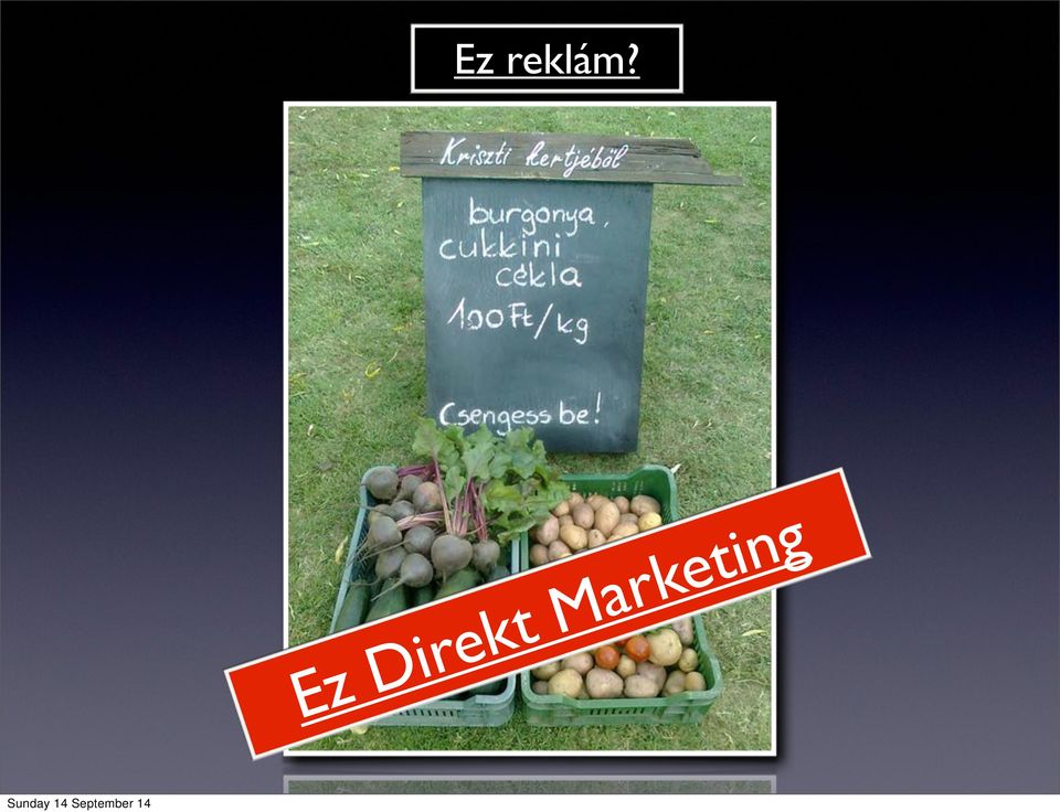 Marketing