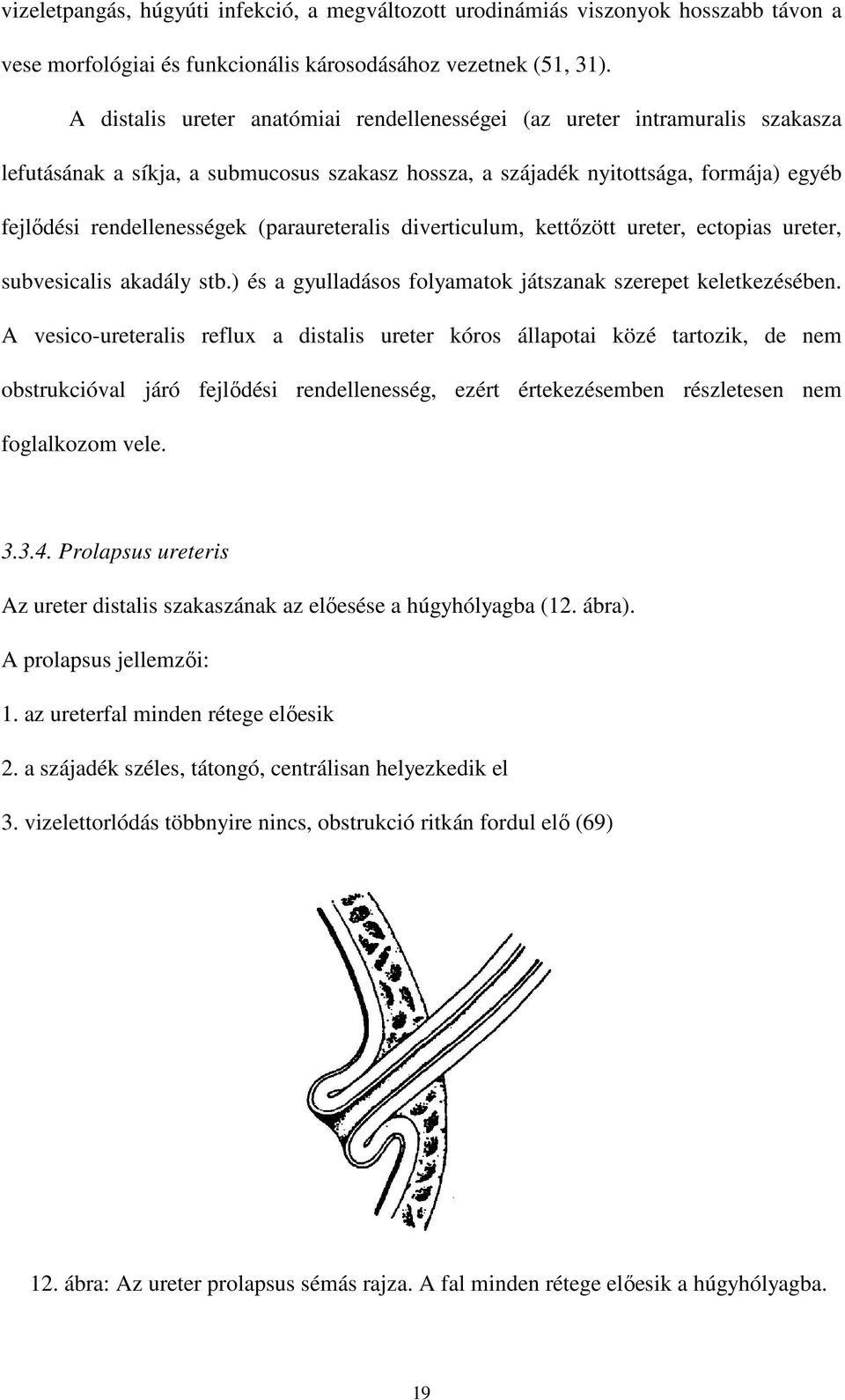 (paraureteralis diverticulum, kettızött ureter, ectopias ureter, subvesicalis akadály stb.) és a gyulladásos folyamatok játszanak szerepet keletkezésében.