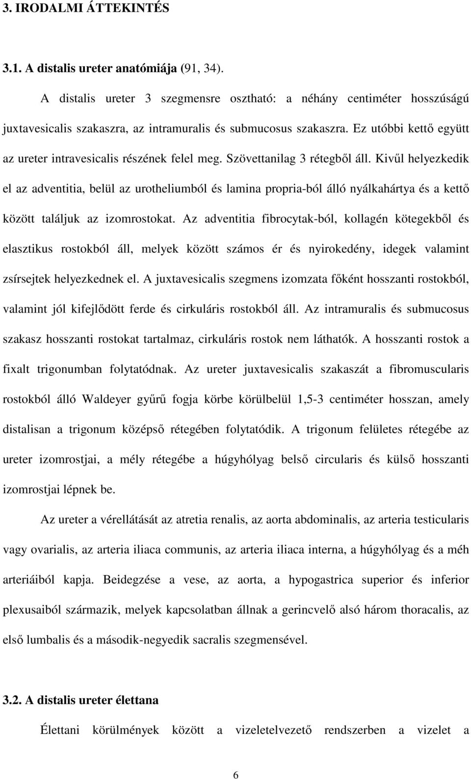 Ez utóbbi kettı együtt az ureter intravesicalis részének felel meg. Szövettanilag 3 rétegbıl áll.