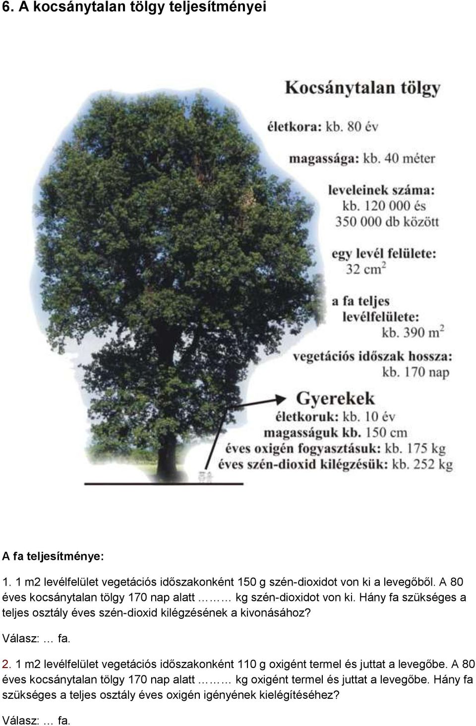 A 80 éves kocsánytalan tölgy 170 nap alatt kg szén-dioxidot von ki.