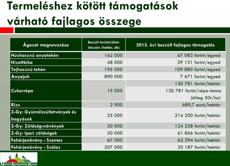 000 7 671 forint/egyed Cukorrépa 19 000 130 781 forint/hektár 130 781 forint/répa-tonna (átlag 50t/ha) Rizs 2 900 689,7 euró/hektár Z-Gy: Gyümölcsültetvények és bogyósok 25