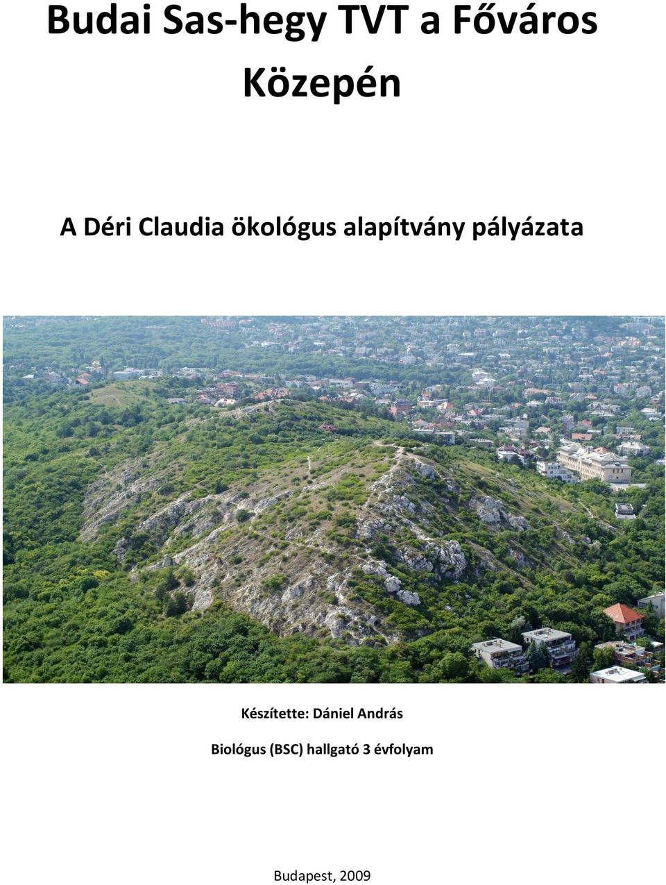 pályázata Készítette: Dániel András