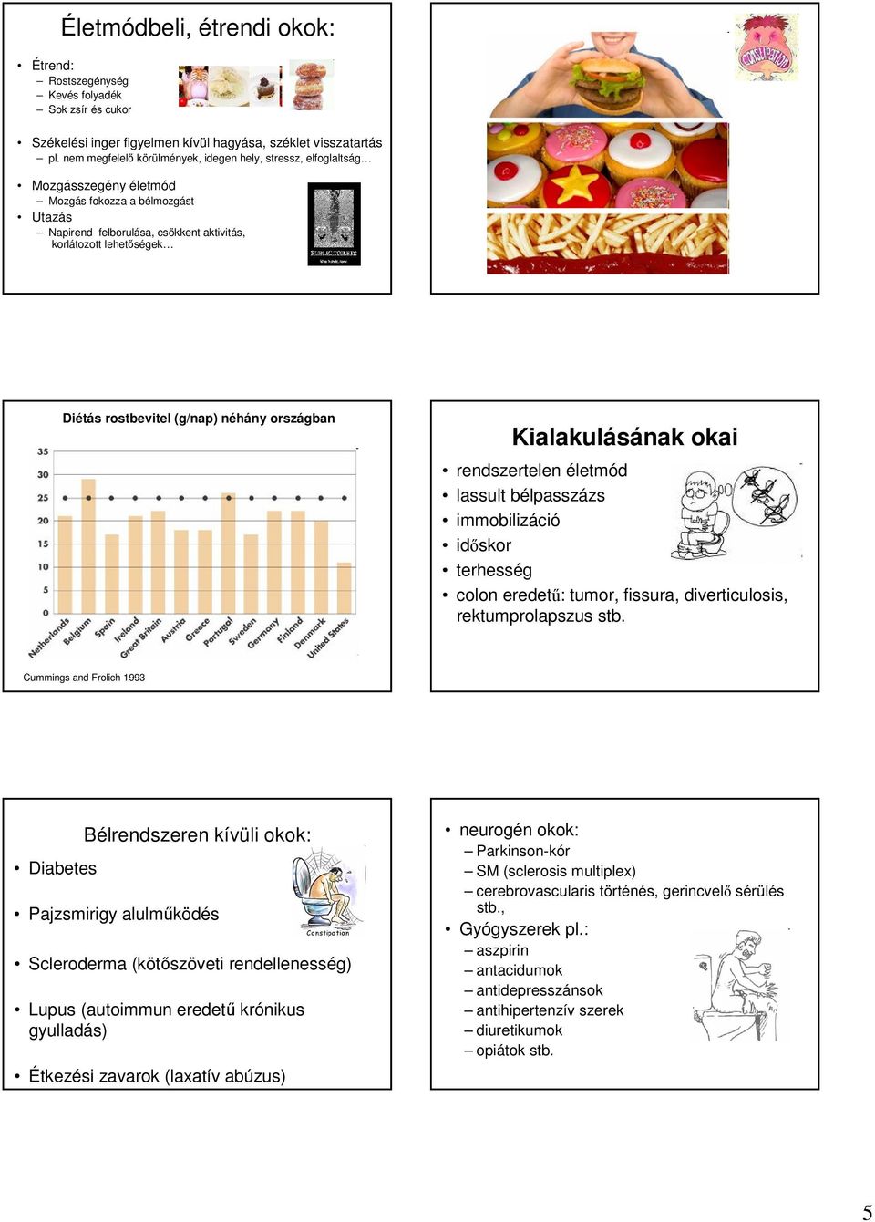 rostbevitel (g/nap) néhány országban Kialakulásának okai rendszertelen életmód lassult bélpasszázs immobilizáció időskor terhesség colon eredetű: tumor, fissura, diverticulosis, rektumprolapszus stb.