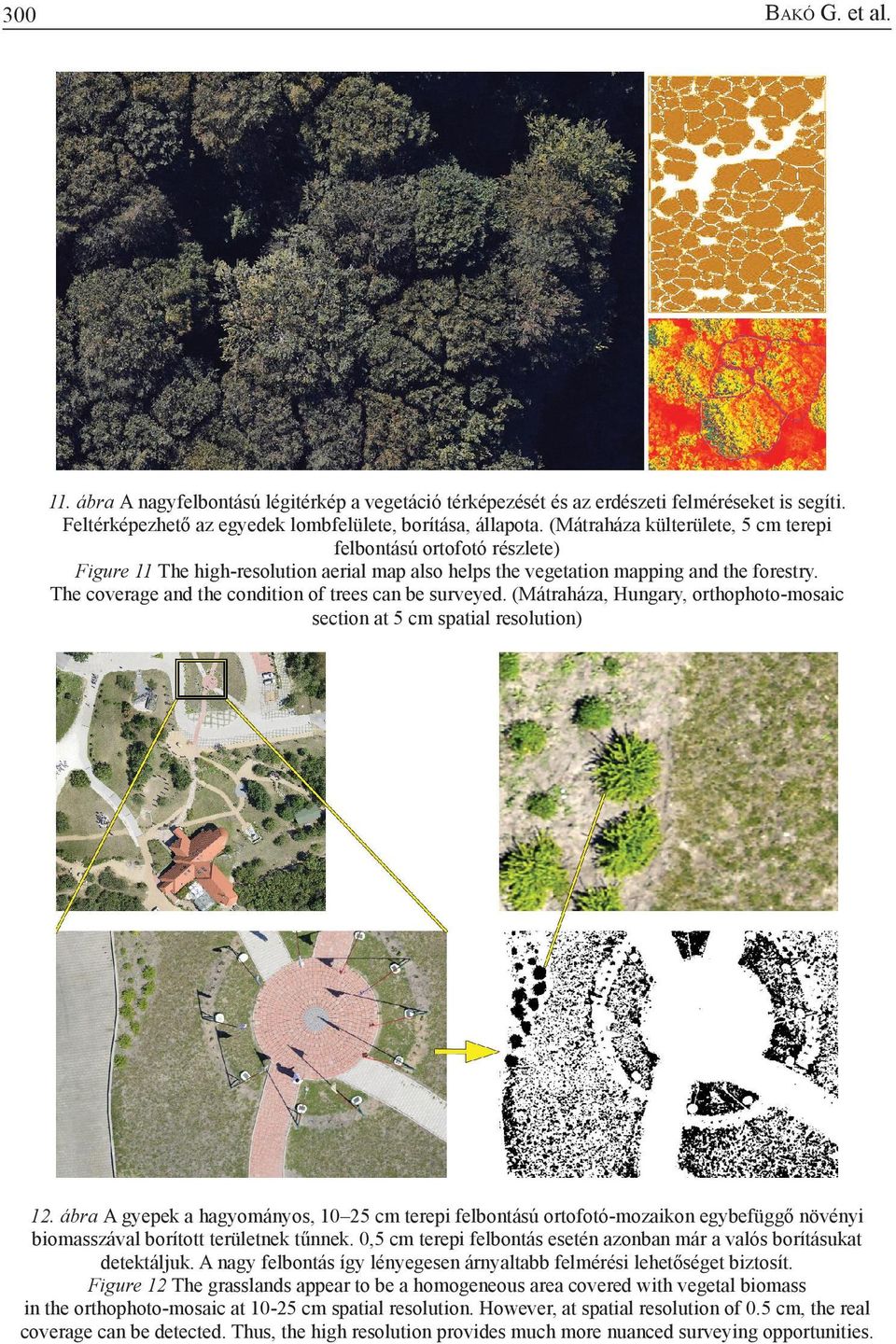 The coverage and the condition of trees can be surveyed. (Mátraháza, Hungary, orthophoto-mosaic section at 5 cm spatial resolution) 12.